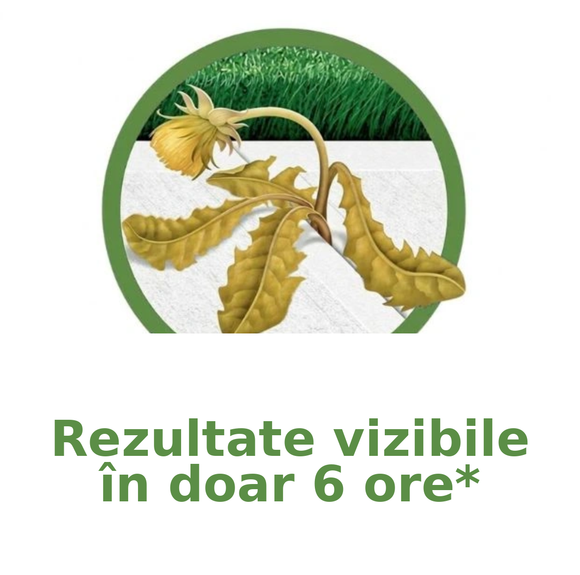 Ierbicid bio pentru casă și grădină, acționează țintit, 500 ml