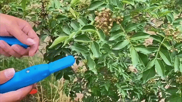 Foarfeca de gradina tip pistol, taie rapid crengute si ramuri