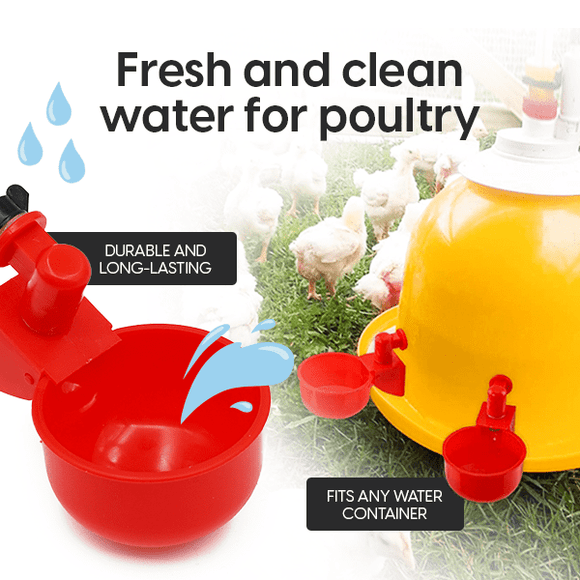 Set 6x adapatoare pentru pasari curte, cupe pentru apa gaini, rate