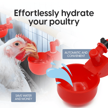 Set 6x adapatoare pentru pasari curte, cupe pentru apa gaini, rate - 0