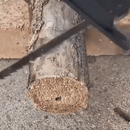 Adaptor tip fierastrau pendular, de bormasina, masina gaurit si infiletat-2