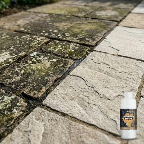Spray lichid curățare, restaurare alee și pereți, 500 ml