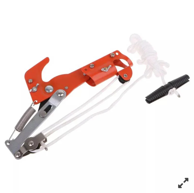 Fierastrau extensibil pentru crengi