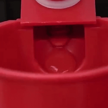 Set 6x adapatoare pentru pasari curte, cupe pentru apa gaini, rate